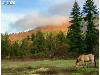 75976 Booth Kelly Camp Road Dorena, OR 97434 - Photo 33 of 34