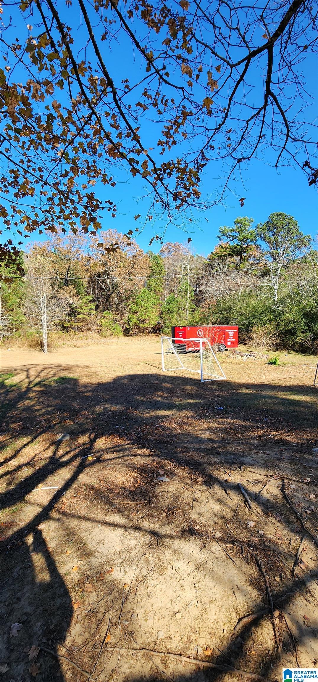 755 Co Highway 24 Springville, AL 35146 - Photo 32 of 53