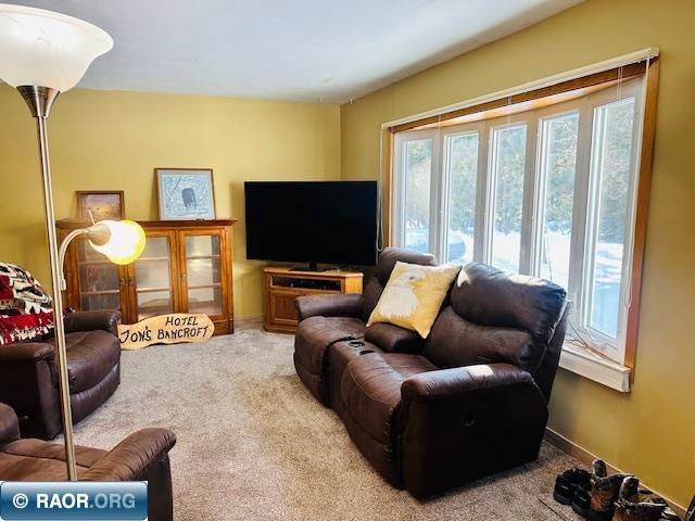 4858 Vermilion Trail Gilbert, MN 55741 - Photo 4 of 31