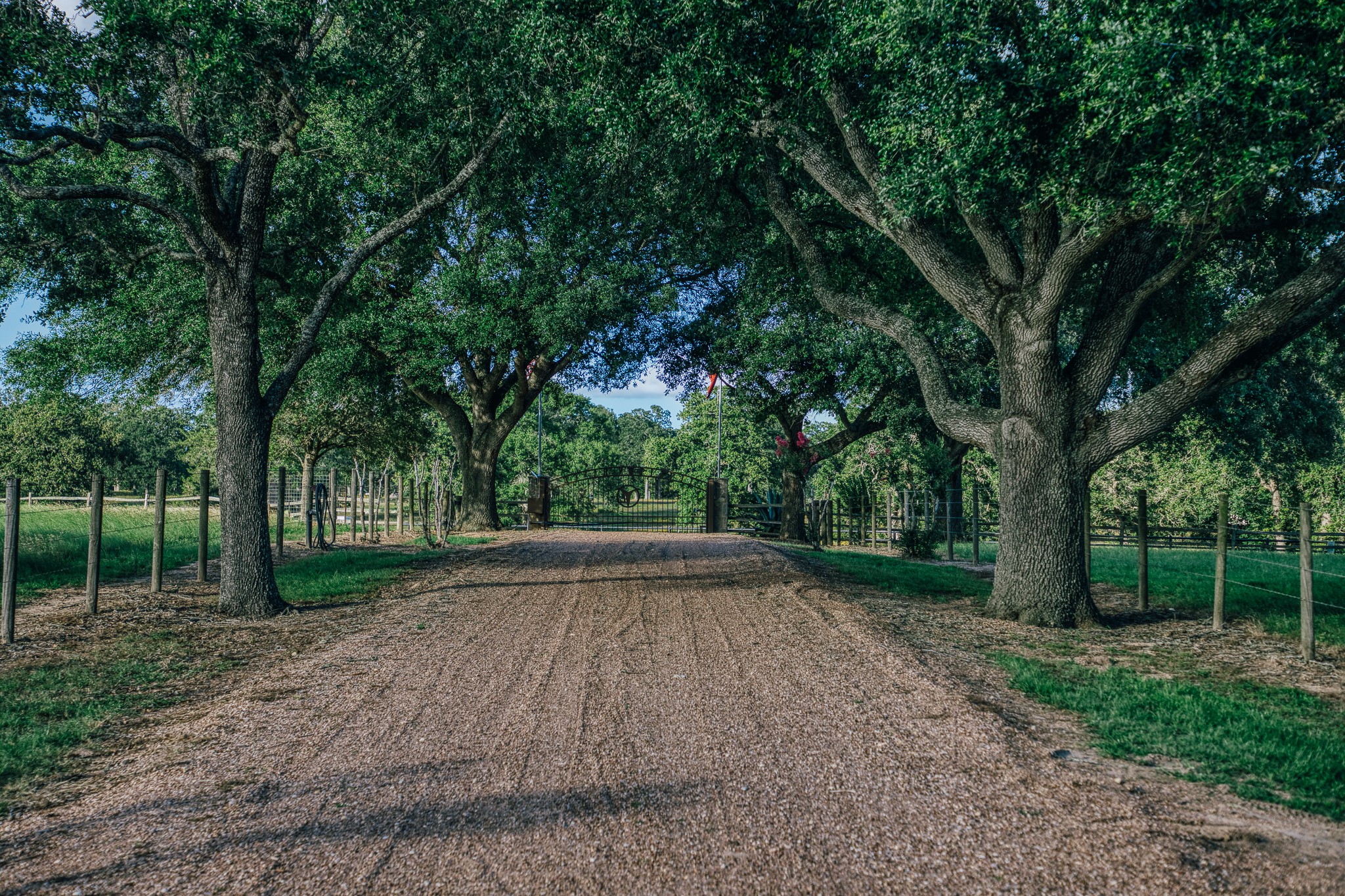 1034 Hilbun Road New Ulm, TX 78950 - Photo 36 of 49