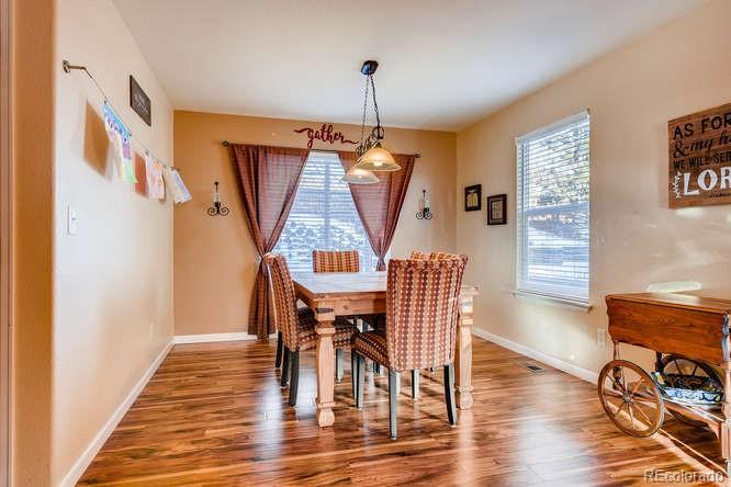 10038 Strathfield Lane Highlands Ranch, CO 80126 - Photo 5 of 25 Gallery Image 5