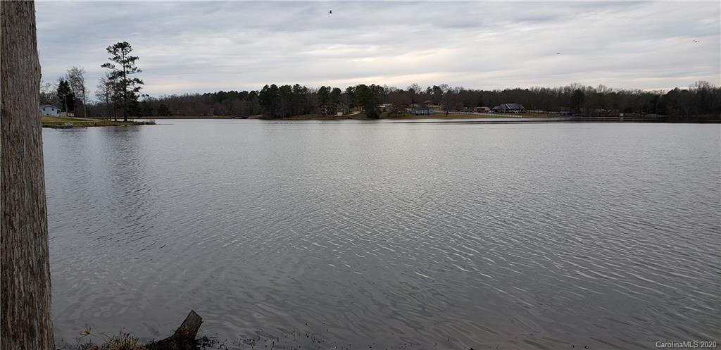 954 Ashley Road, Unit 9 & 10 OF SECTION F Chester, SC 29706 - Photo 9 of 9 a view of lake