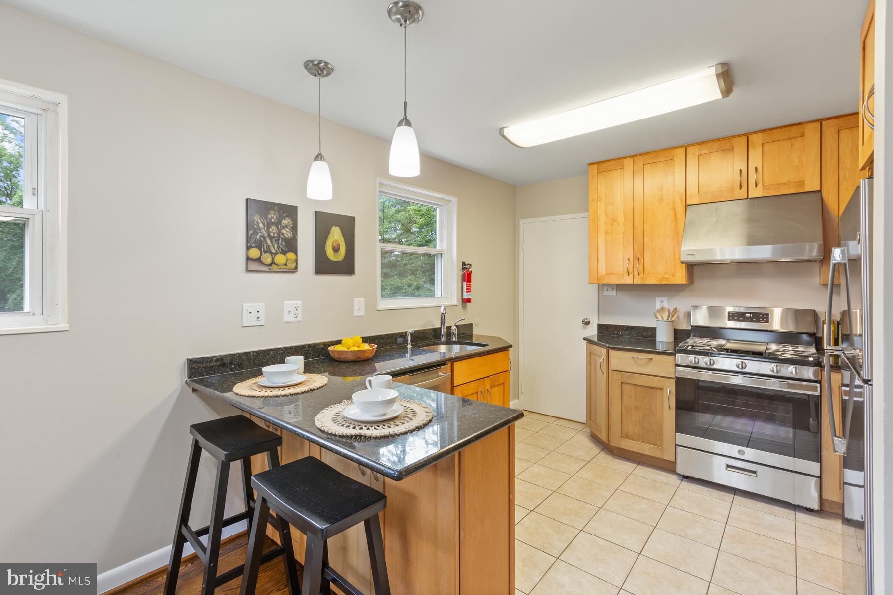 11901 Ashley Drive Rockville, MD 20852 - Photo 11 of 39