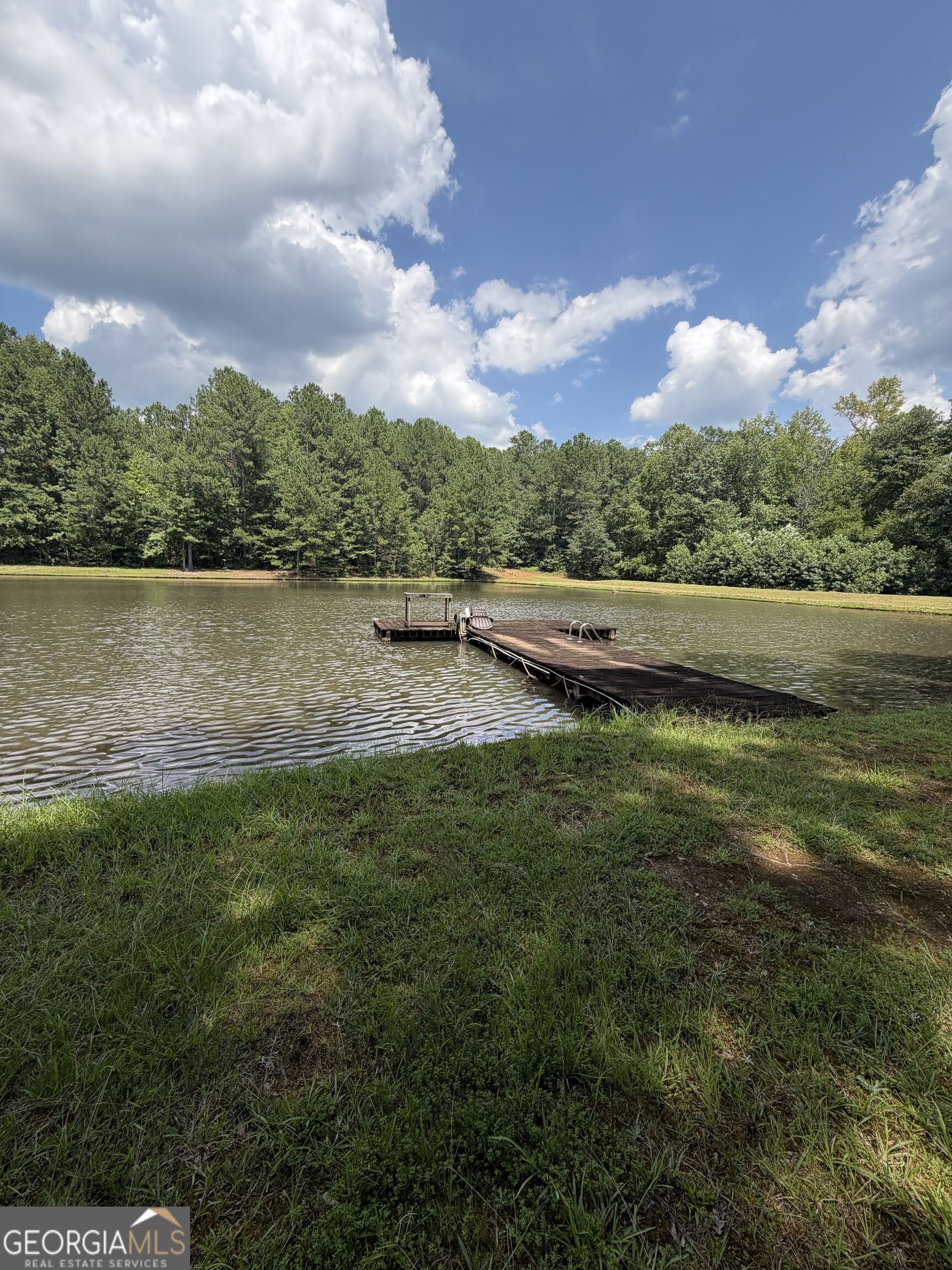 1917 Al Roberts Road Senoia, GA 30276 - Photo 19 of 20 Gallery Image 19