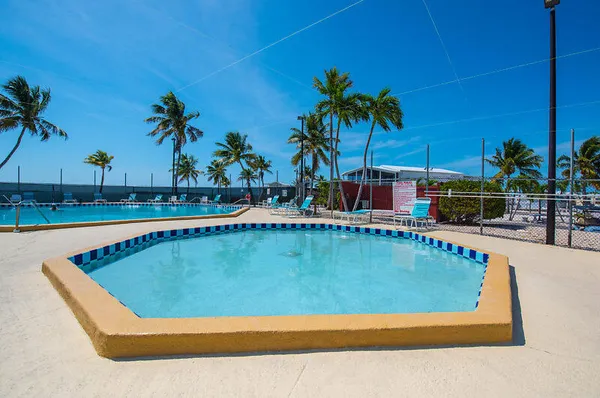 a view of swimming pool with outdoor seating and palm tree