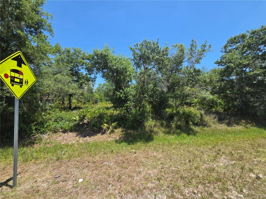 33410 Washington Loop Road Punta Gorda, FL 33982 - Photo 3 of 5