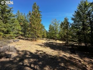2 Orchard Heights Road Goldendale, WA 98620 - Photo 5 of 13 Gallery Image 5
