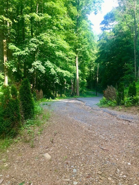 1 Sugar Maple Loop Road Sevierville, TN 37862 - Photo 7 of 22 Gallery Image 7
