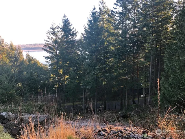 $55,000 | 2948 Dogwood Terrace, Lummi Island, WA 98262