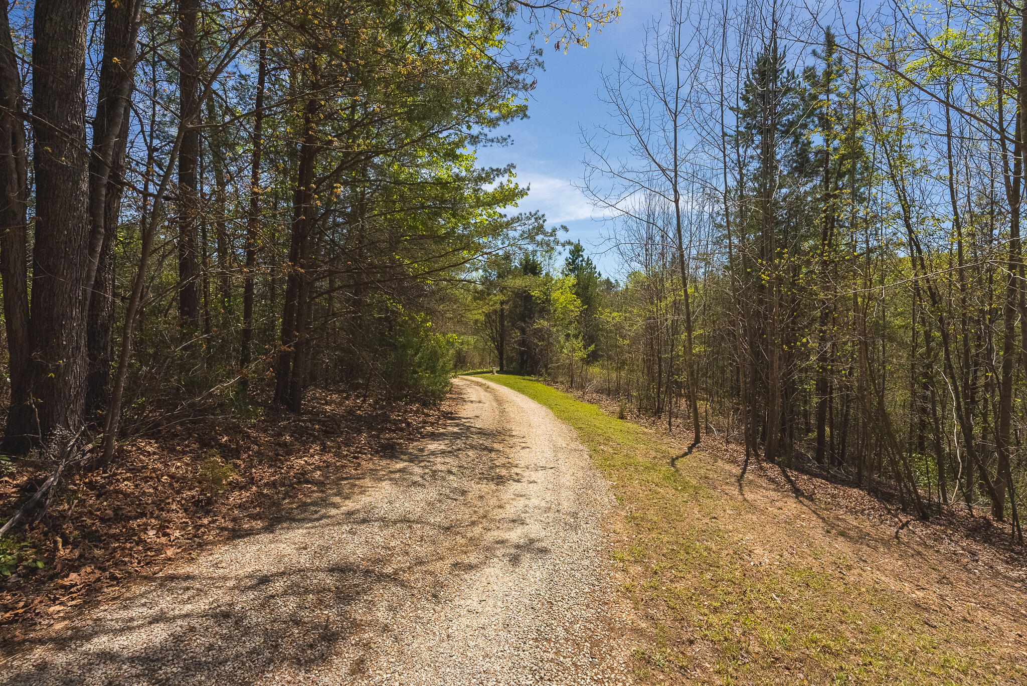 2600 Earley Farm Road Amherst, VA 24521 - Photo 4 of 57 DSC04872