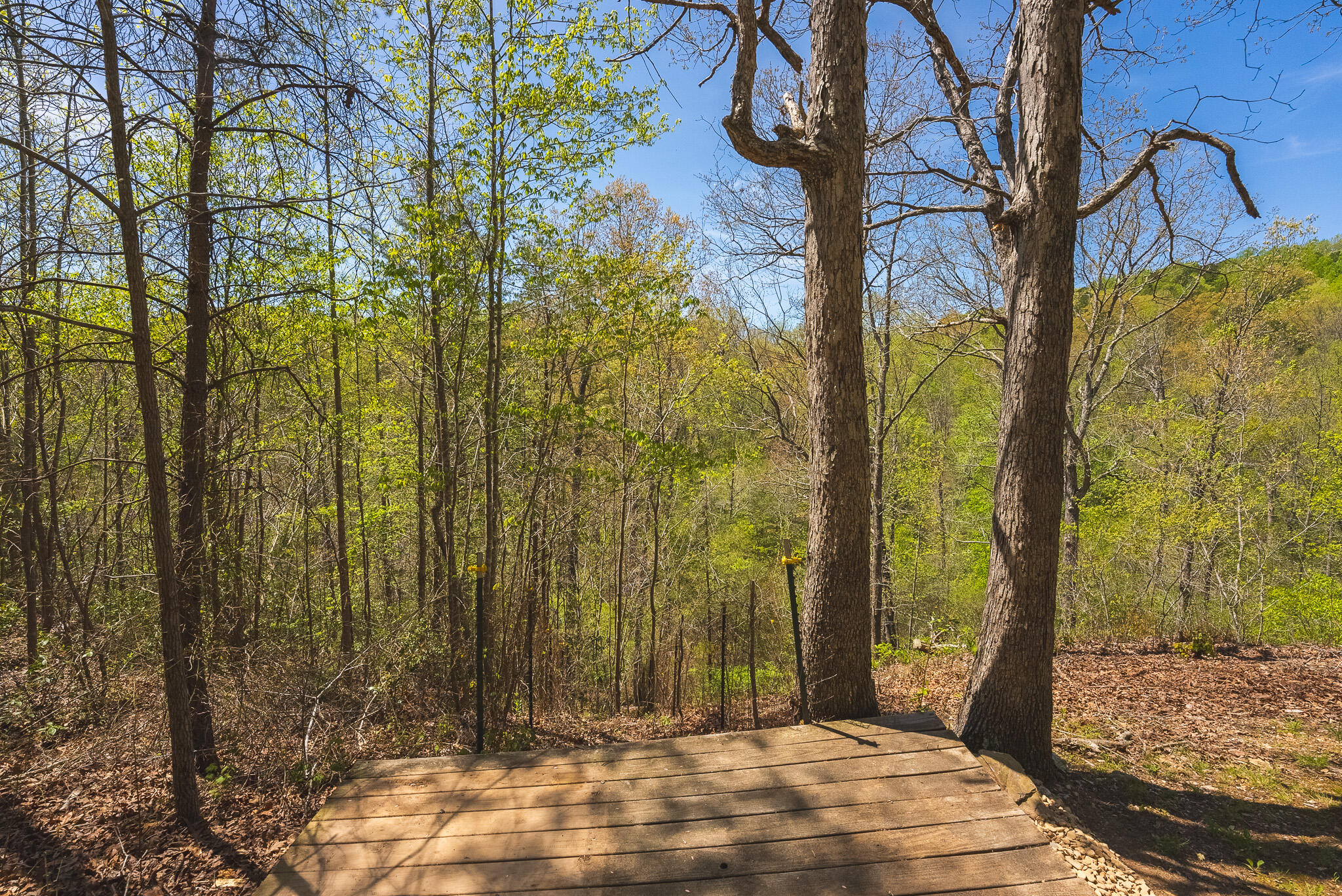2600 Earley Farm Road Amherst, VA 24521 - Photo 55 of 57 DSC04857