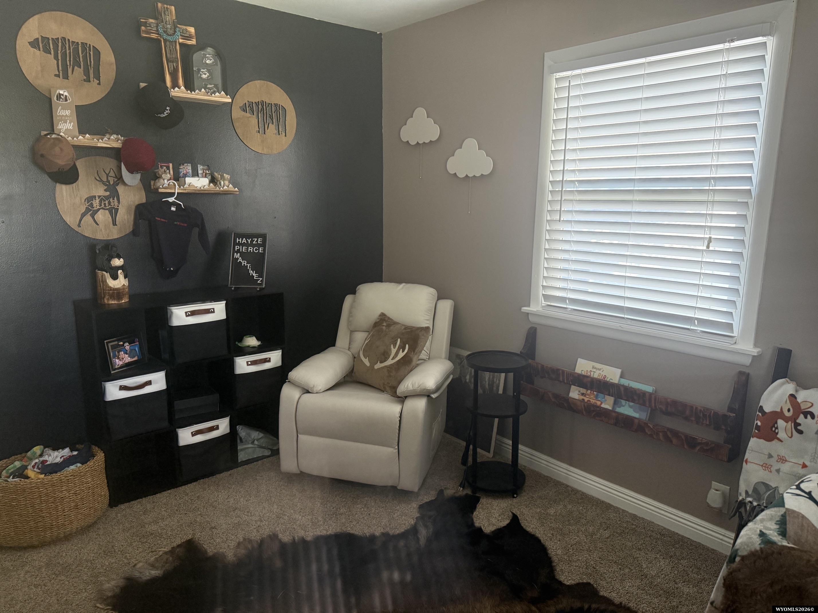 807 High Street Rawlins, WY 82301 - Photo 8 of 33