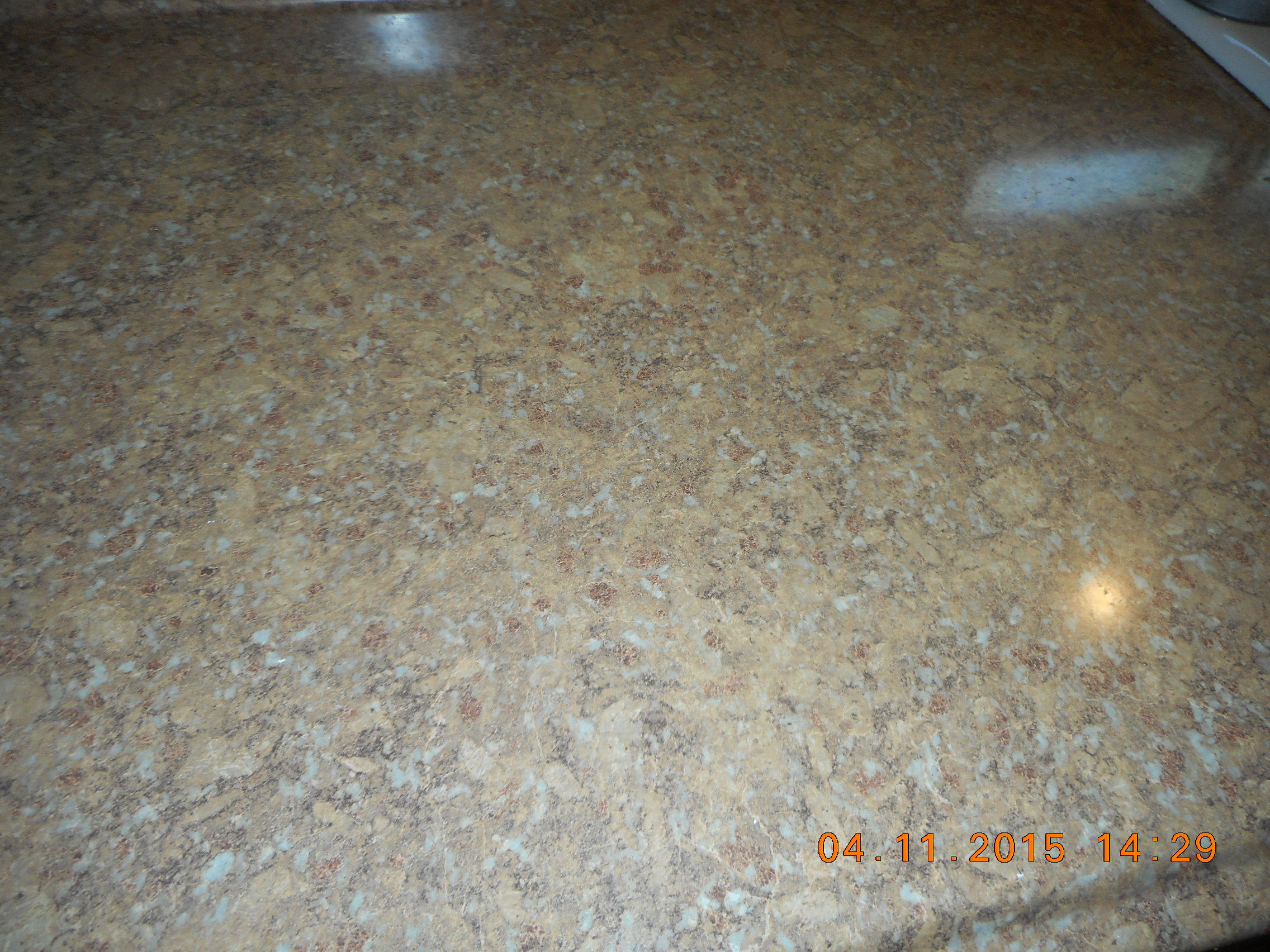 125 Parsons Road Oak Ridge, TN 37830 - Photo 15 of 40 DSCN3618