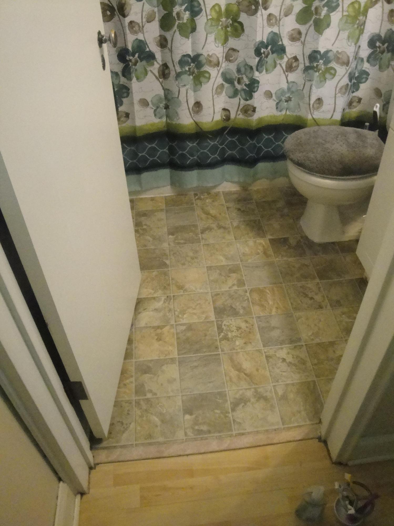 125 Parsons Road Oak Ridge, TN 37830 - Photo 16 of 40 New bathroom flooring