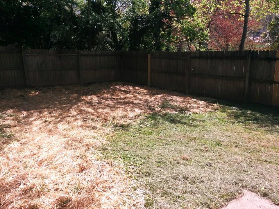 125 Parsons Road Oak Ridge, TN 37830 - Photo 38 of 40 2