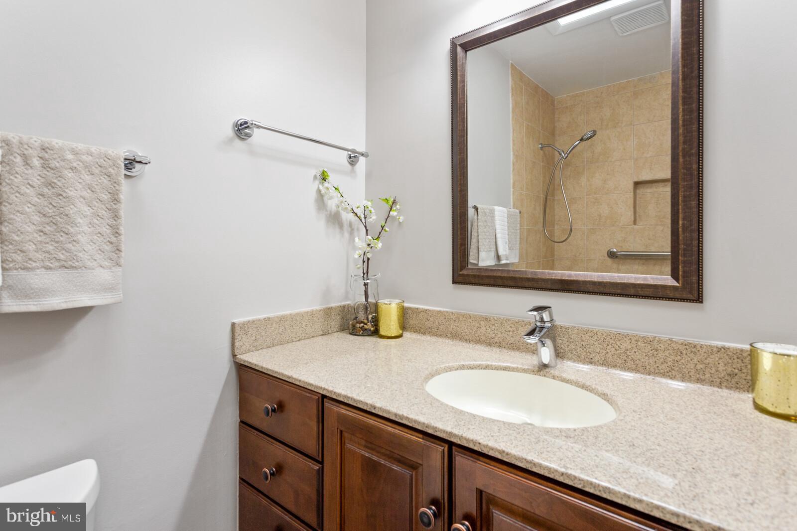 7021 Hadlow Drive Springfield, VA 22152 - Photo 28 of 47 Upper Hall Bathroom with Skylight