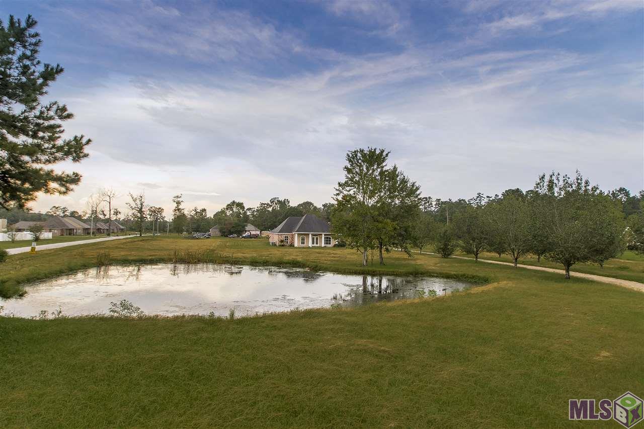 32205 North Corbin Road Walker, LA 70785 - Photo 1 of 26 Gallery Image 1