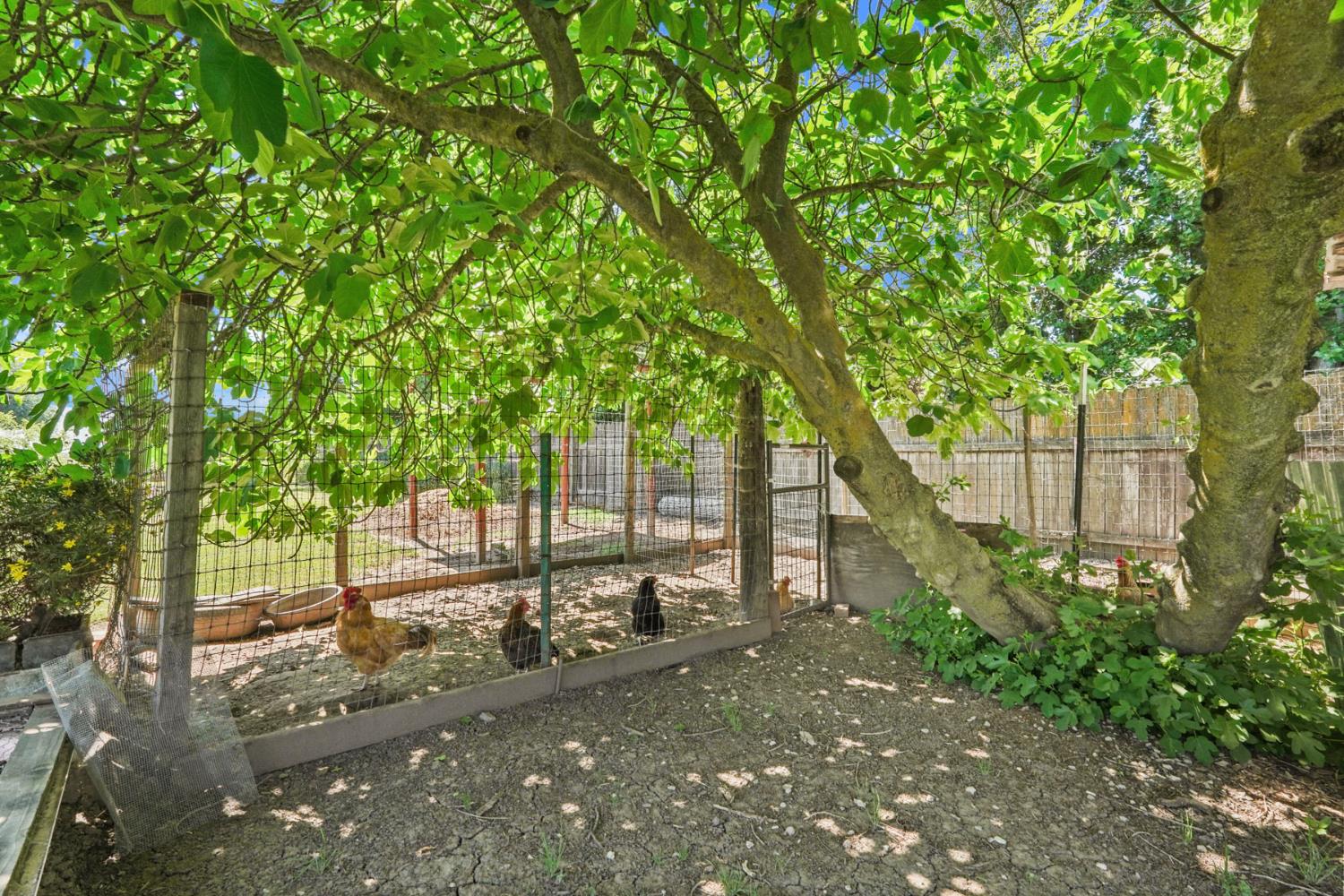 10450 West Walnut Grove Road Thornton, CA 95686 - Photo 44 of 51