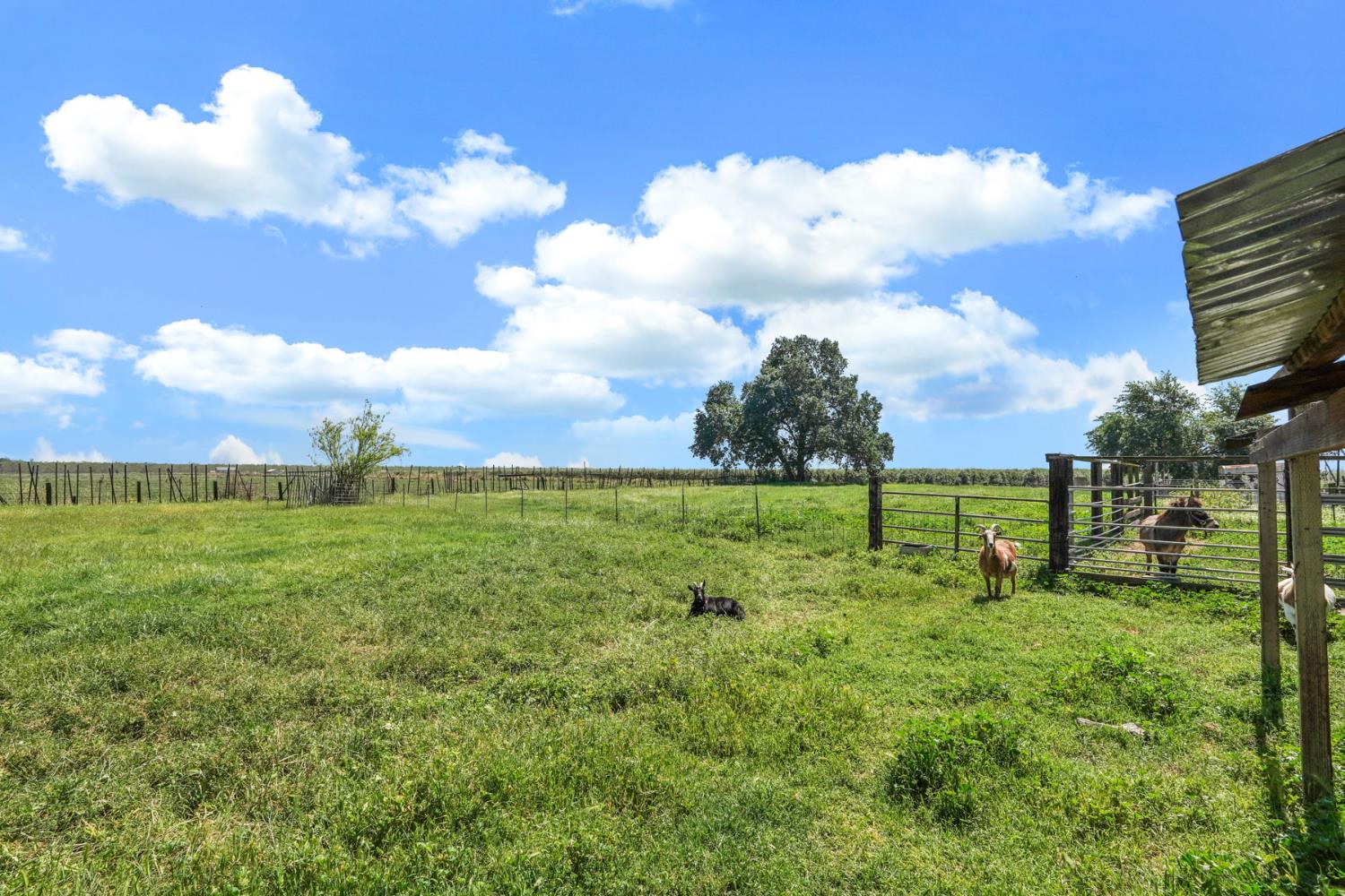 10450 West Walnut Grove Road Thornton, CA 95686 - Photo 51 of 51