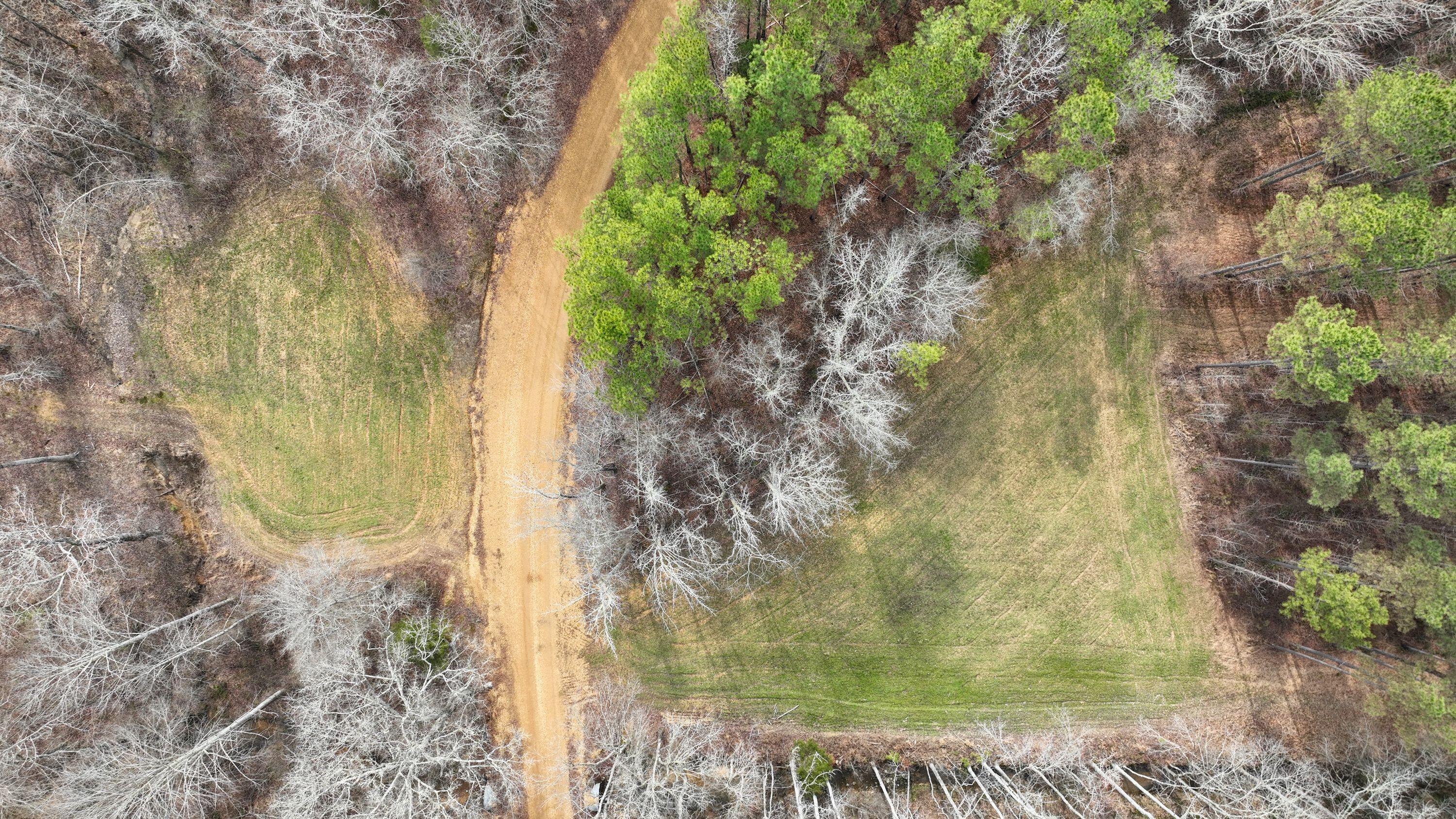 731 Wright Road Tremont, MS 38876 - Photo 32 of 76 Gallery Image 32