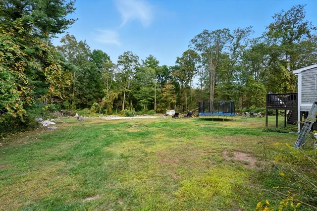 a view of a park with trees