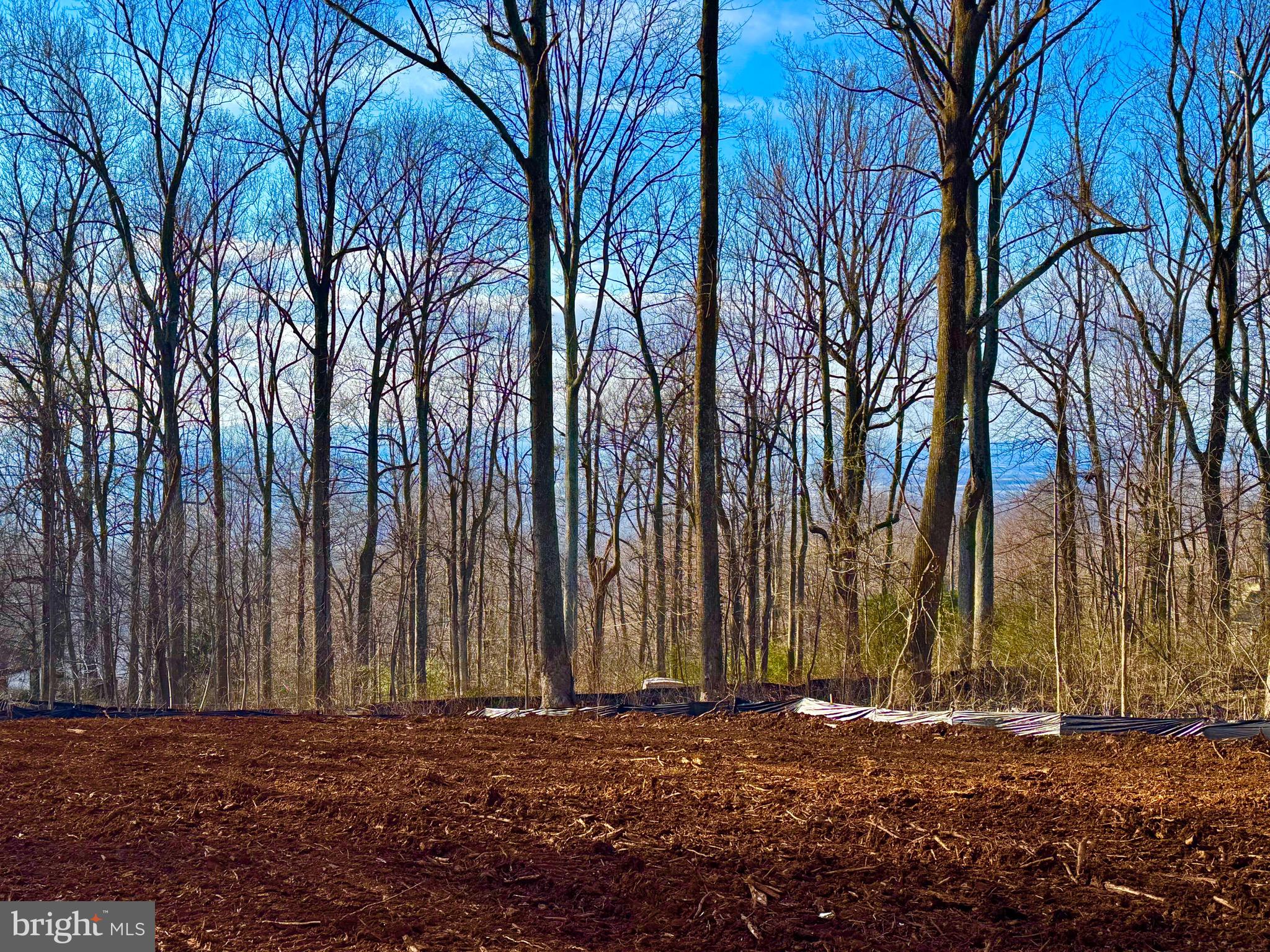 1249 High Top Road Linden, VA 22642 - Photo 3 of 40