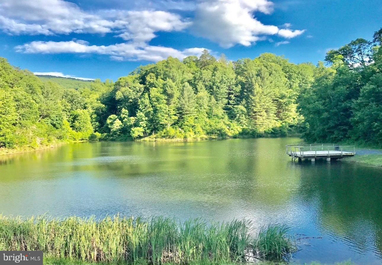 1249 High Top Road Linden, VA 22642 - Photo 6 of 40 River and lake access