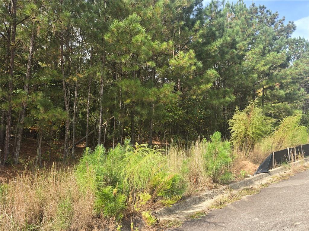 188 Belford Way Jackson, GA 30233 - Photo 2 of 3