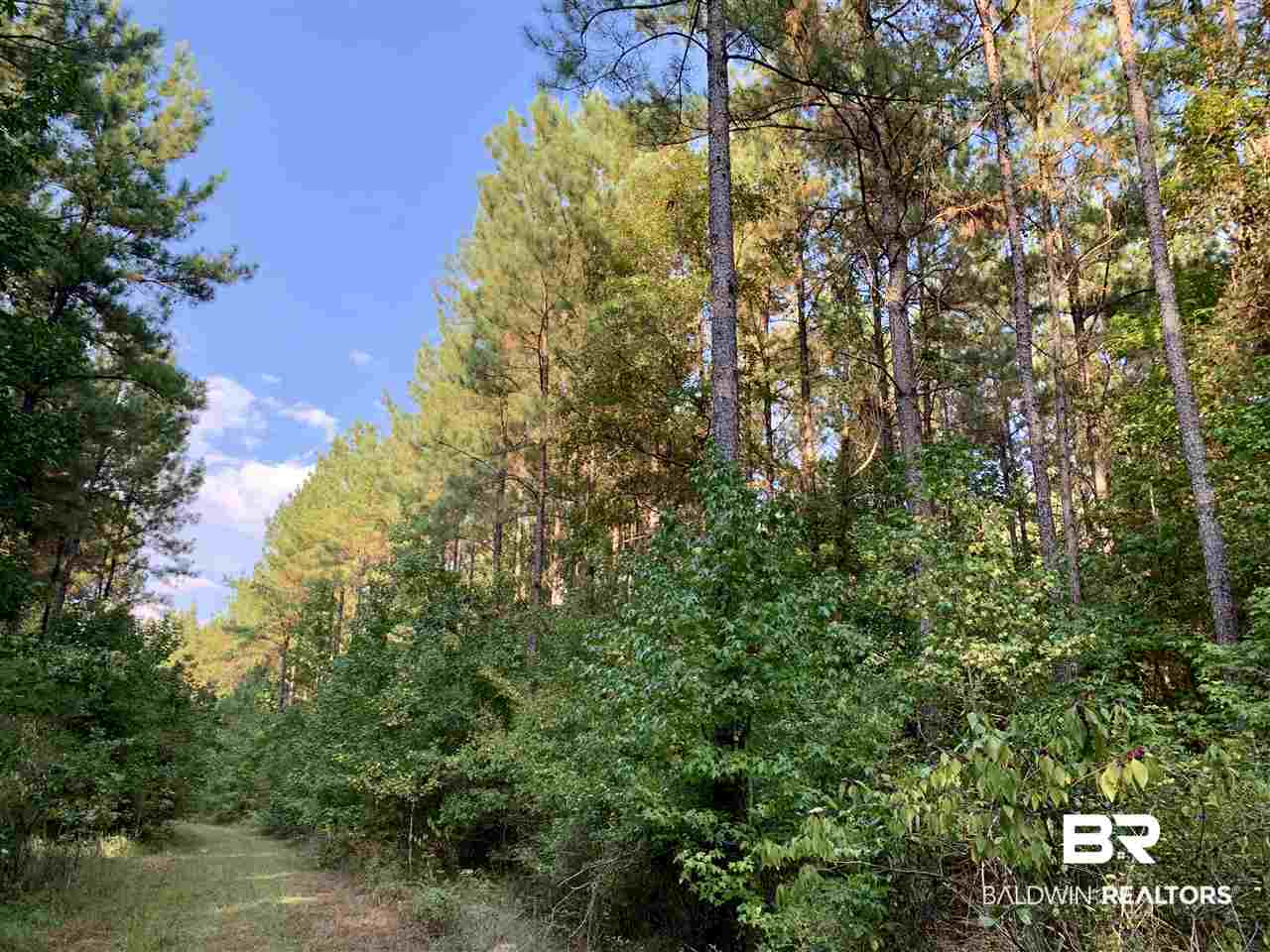 0 Holly Creek Road Stockton, AL 36579 - Photo 37 of 50
