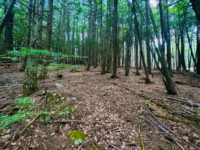 $49,900 | M11 Loon Lane, St. Albans, ME 04971