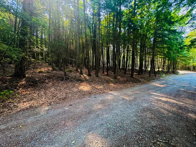 $49,900 | M11 Loon Lane, St. Albans, ME 04971