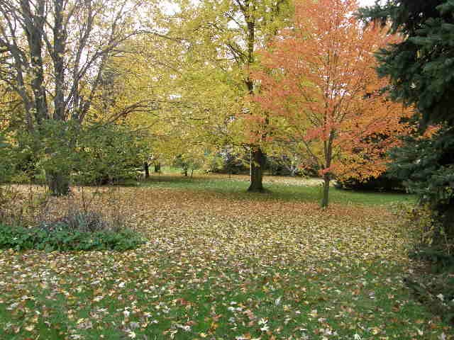 6493 North Crapo Road St. Louis, MI 48880 - Photo 8 of 26 1825515-15.JPG