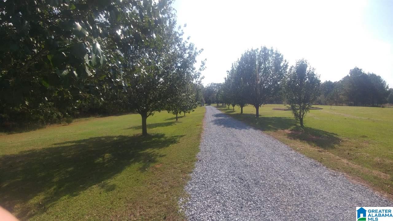 4330 Renfroe Road Talladega, AL 35160 - Photo 5 of 21