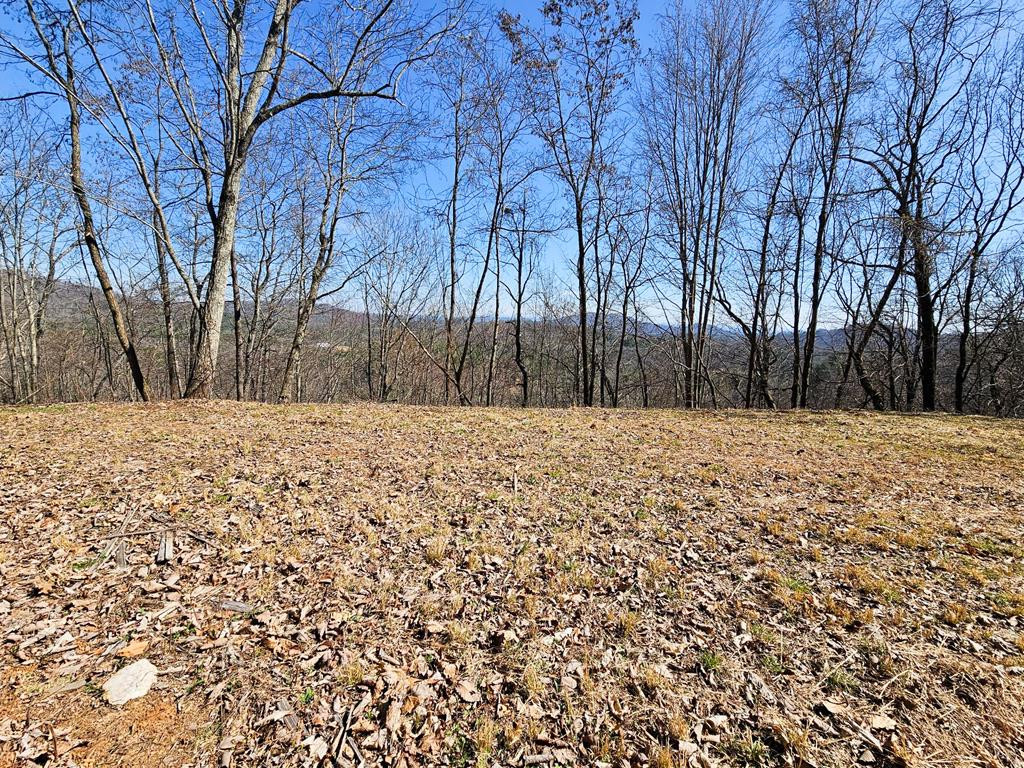 Lot 39 Merlin Trail Murphy, NC 28906 - Photo 11 of 21