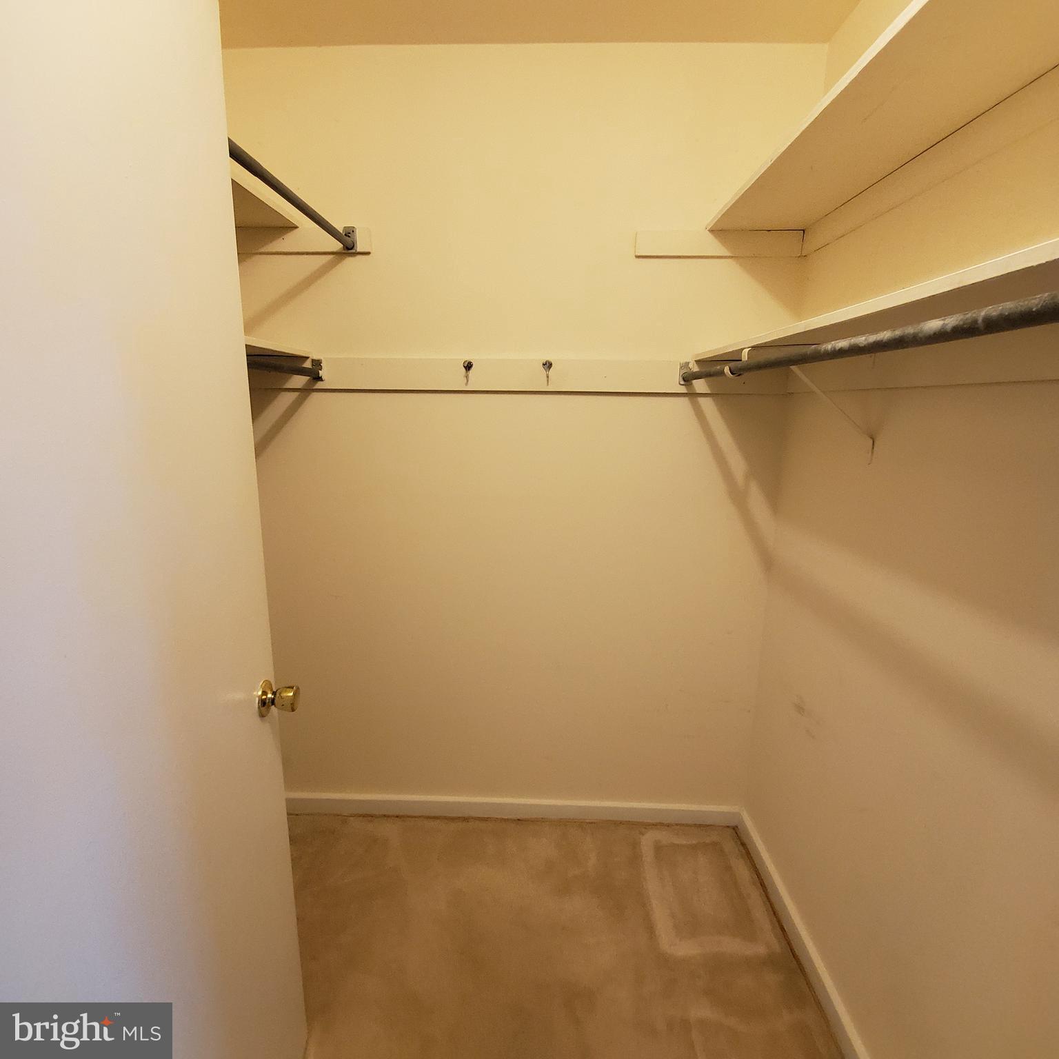 3342 Hewitt Avenue Silver Spring, MD 20906 - Photo 19 of 20 Walk in closet.