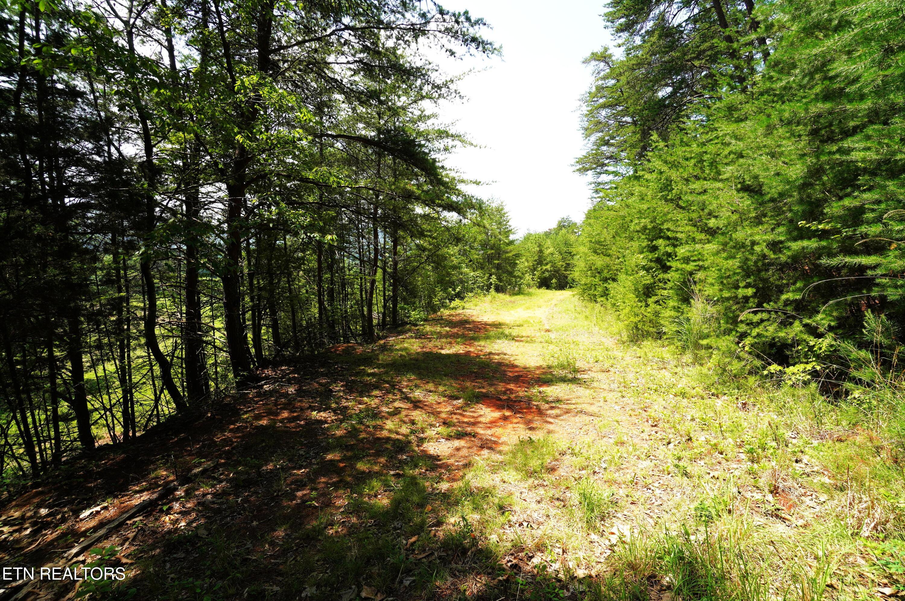 0 Rhyne Camp Road Newport, TN 37821 - Photo 13 of 19 camp rhyne rd (14)