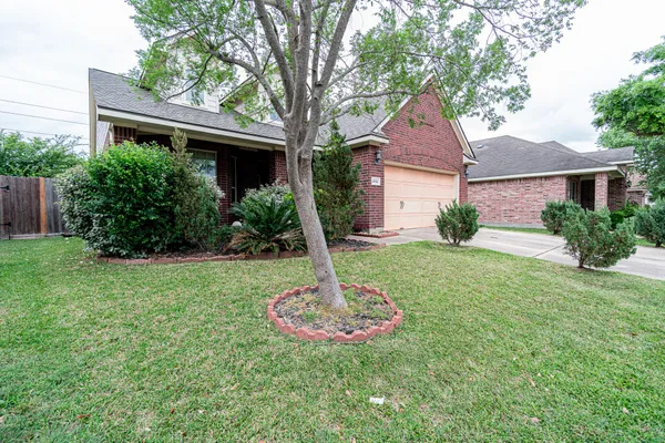 a front view of a house with a yard and a tree