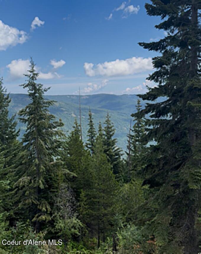 160 Acres Jeru Creek Road, Unit 293 Sandpoint, ID 83864 - Photo 14 of 29 Views