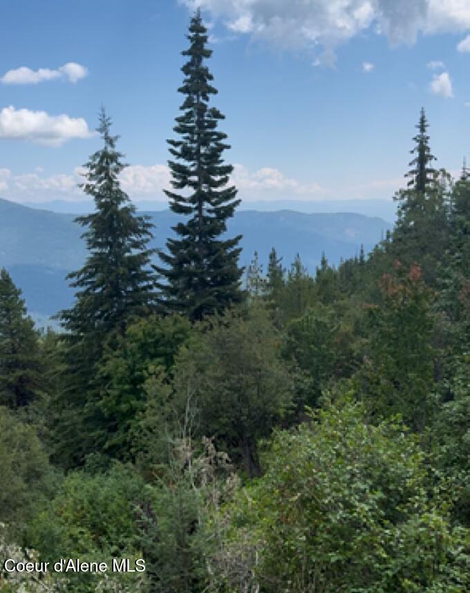 160 Acres Jeru Creek Road, Unit 293 Sandpoint, ID 83864 - Photo 15 of 29 Views