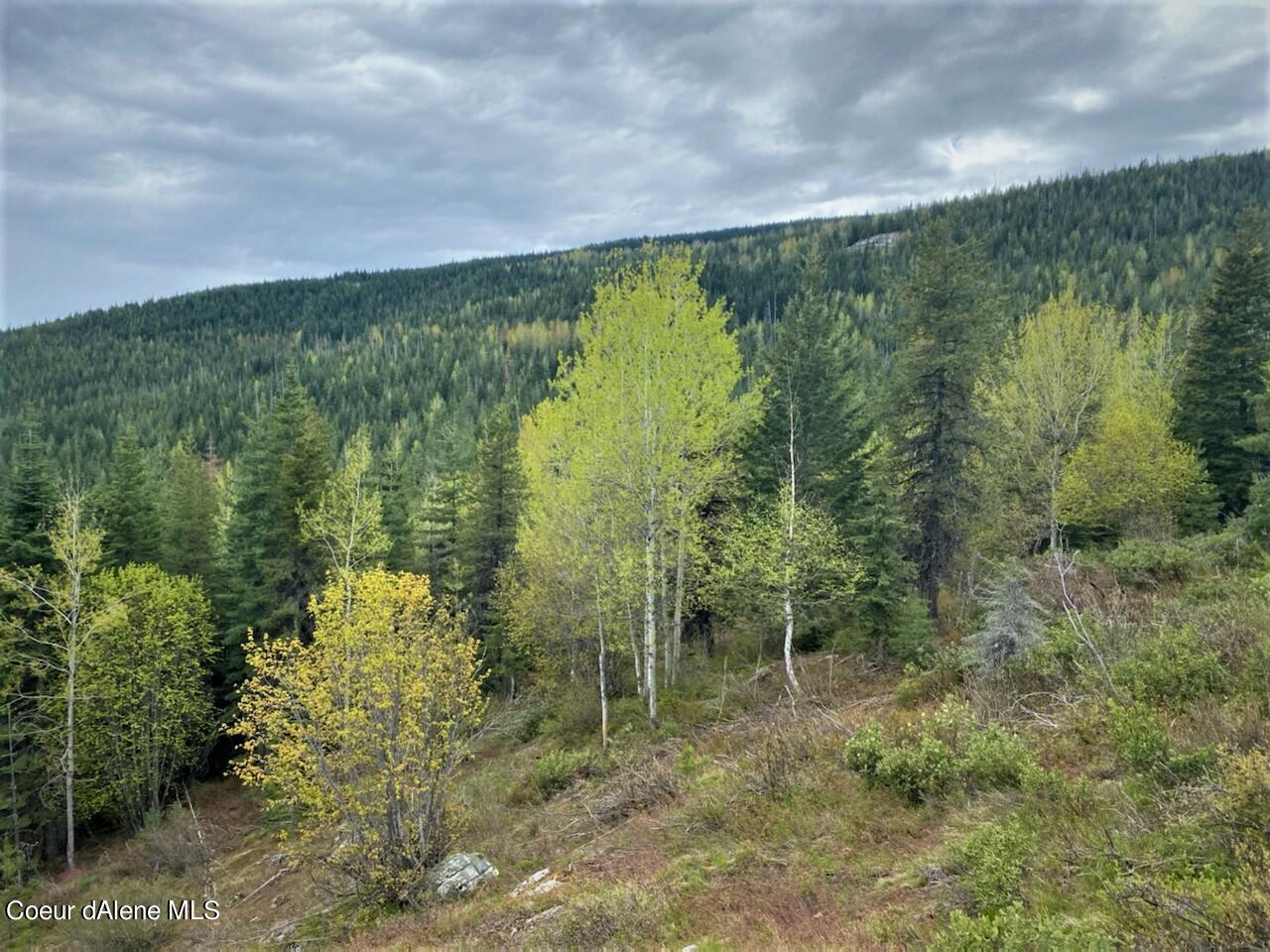 160 Acres Jeru Creek Road, Unit 293 Sandpoint, ID 83864 - Photo 18 of 29 Expansive