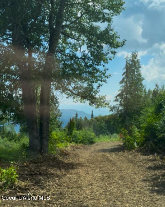 160 Acres Jeru Creek Road, Unit 293 Sandpoint, ID 83864 - Photo 3 of 29 3