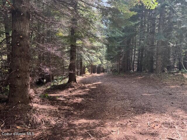 160 Acres Jeru Creek Road, Unit 293 Sandpoint, ID 83864 - Photo 4 of 29 4