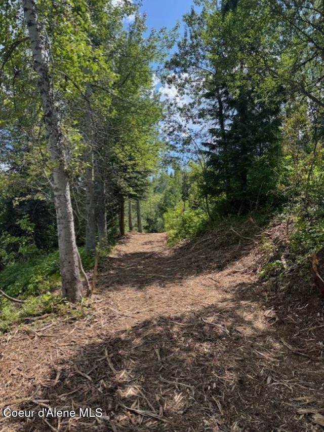 160 Acres Jeru Creek Road, Unit 293 Sandpoint, ID 83864 - Photo 7 of 29 7
