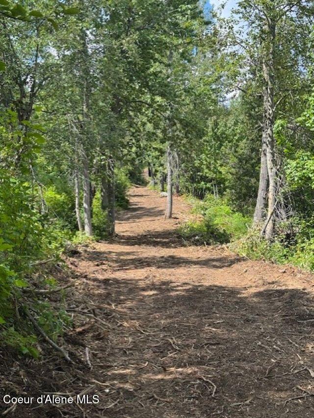 160 Acres Jeru Creek Road, Unit 293 Sandpoint, ID 83864 - Photo 8 of 29 8