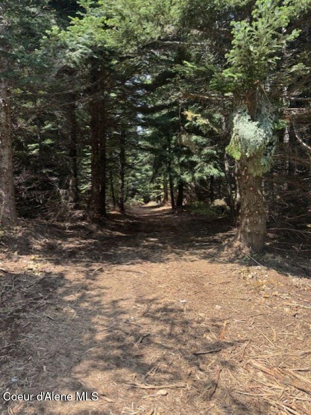 160 Acres Jeru Creek Road, Unit 293 Sandpoint, ID 83864 - Photo 9 of 29 9