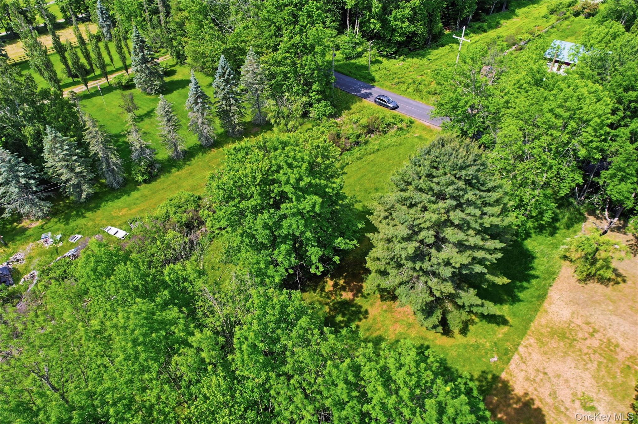Tbd Britman Road Bethel, NY 12720 - Photo 13 of 16