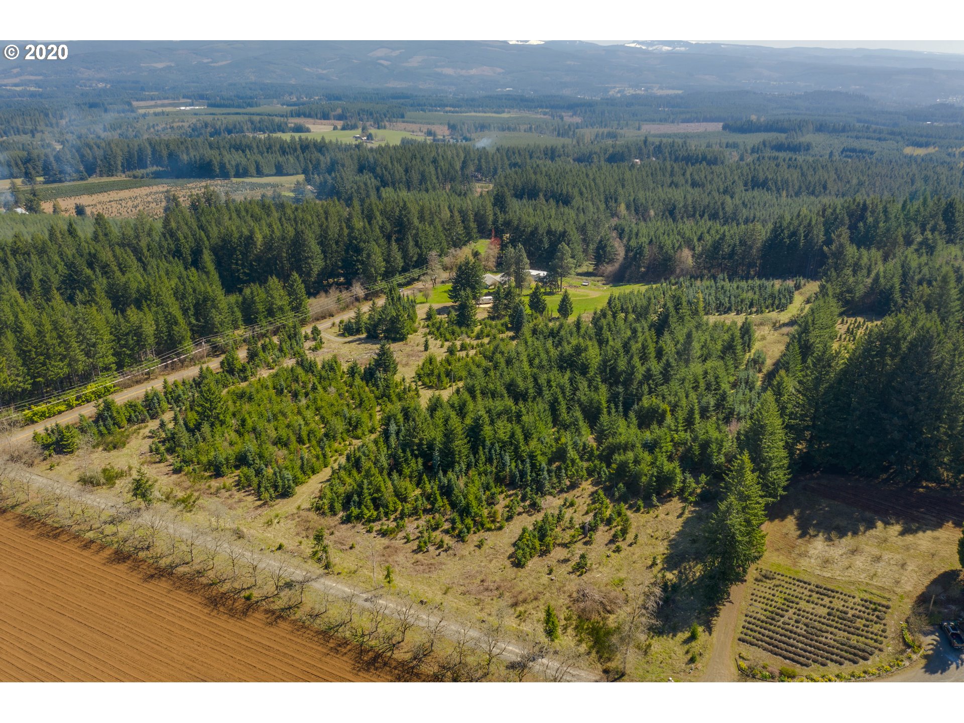 25463 South Beeson Road Beavercreek, OR 97004 - Photo 8 of 24 Gallery Image 8