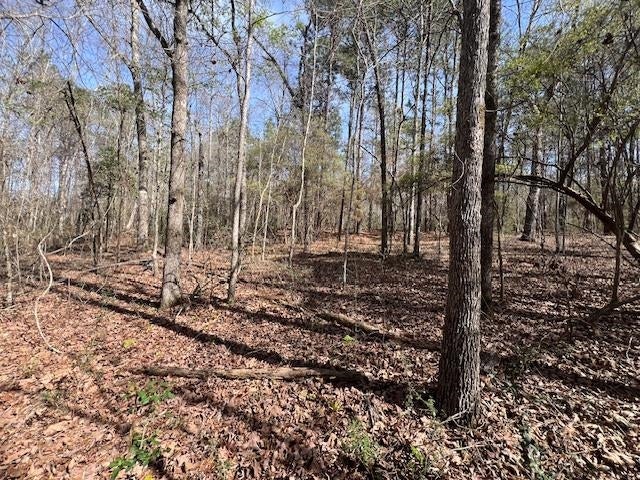 18-ac Potter Road Opp, AL 36467 - Photo 9 of 12 Gallery Image 9