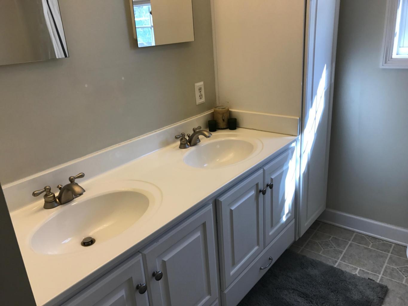 3955 South Buffalo Road Lexington, VA 24450 - Photo 8 of 34 master bath