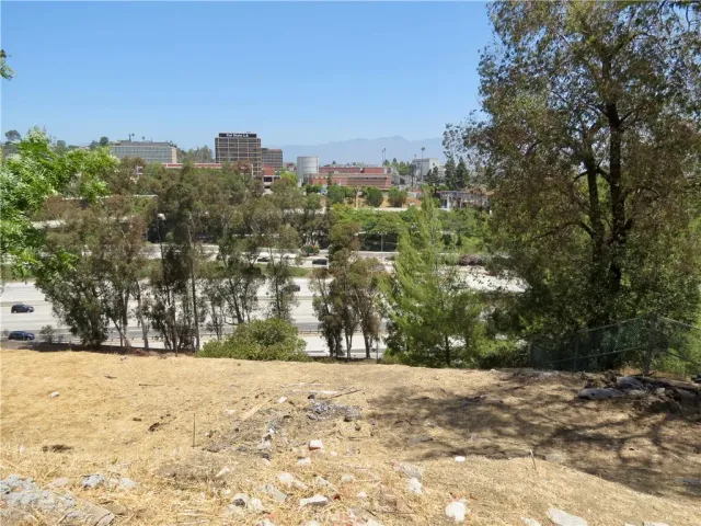 a view of road and yard